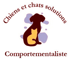 Chiens et Chats Solutions